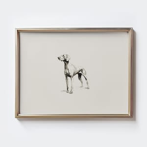 Vizsla Wand Kunst, Vintage Hund Skizze Druck, Vizsla Zeichnung Kunst, Hundebesitzer Geschenk, Rustikale Hunde Kunst, Hunde Portrait Poster, Bauernhaus Wanddekoration