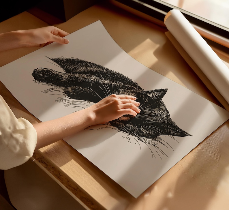 May include: A black and white line drawing of a cat sleeping on a white background. The cat is curled up with its head resting on its paws. The drawing is done in a realistic style.