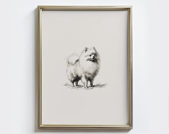 ポメラニアン犬の肖像画アートプリント - かわいい白黒スケッチ、魅力