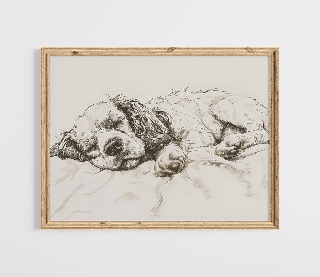 Cocker Spaniel Sketch Print: Vintage Sleeping Dog Art (digital Download ...