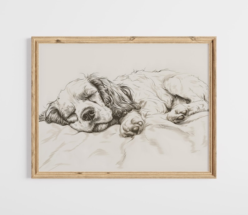 Cocker Spaniel Sketch Print: Vintage Sleeping Dog Art (digital Download ...