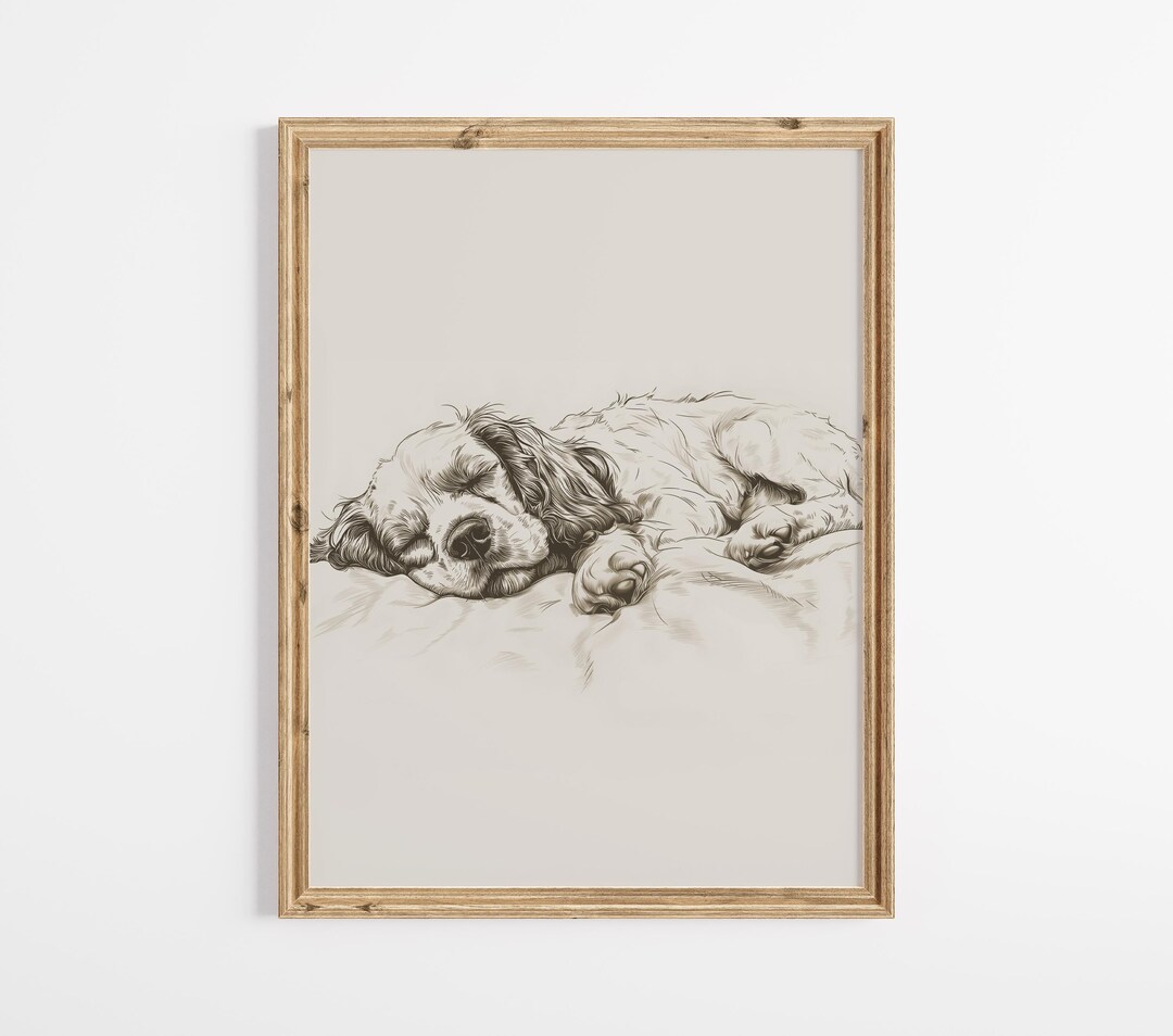 Sleeping Cocker Spaniel Sketch Art Print: Vintage Dog Portrait (digital ...