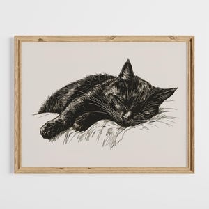 Vintage Katzen Zeichnung, schwarze Katze, Katzenbild, Katzen Illustration, Katzen Illustration, Katze am Bauernhof, Katzenbesitzer Geschenk