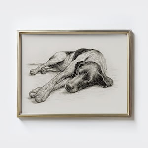 German Shorthaired Pointer Sketch Art Print: Vintage Dog Portrait (Digital Download