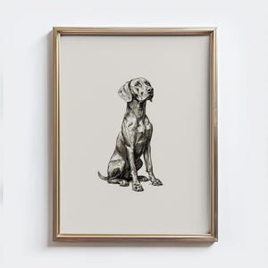 Vizsla Vintage Print, Vizsla Sketch Wall Art, Dog Owner Gift, Countryside Print, Dog Drawing Art, Farmhouse Wall Decor