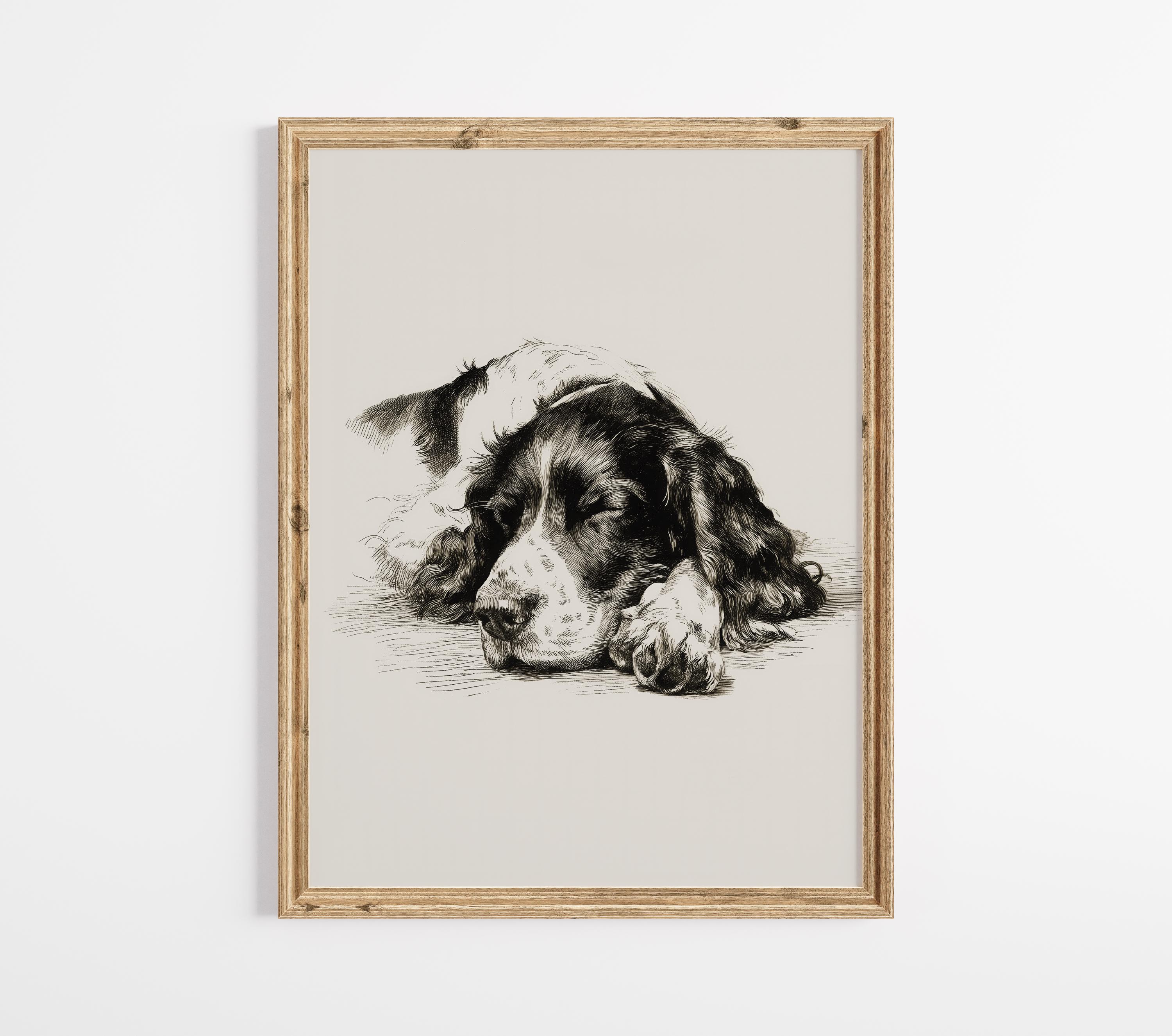 Vintage Springer Spaniel Sketch Art Print: Sleeping Dog Drawing ...