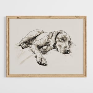 Vizsla Sketch Print, Vintage Dog Wall Art, Vizsla Sleeping Drawing, Pet Art, Dog Owner Gift, Rustic Dog Art, Farmhouse Wall Decor