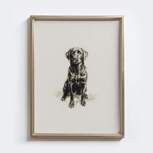 Labrador Sketch Print: Vintage Black Lab Dog Drawing Wall Art - Farmhouse Wall Decor