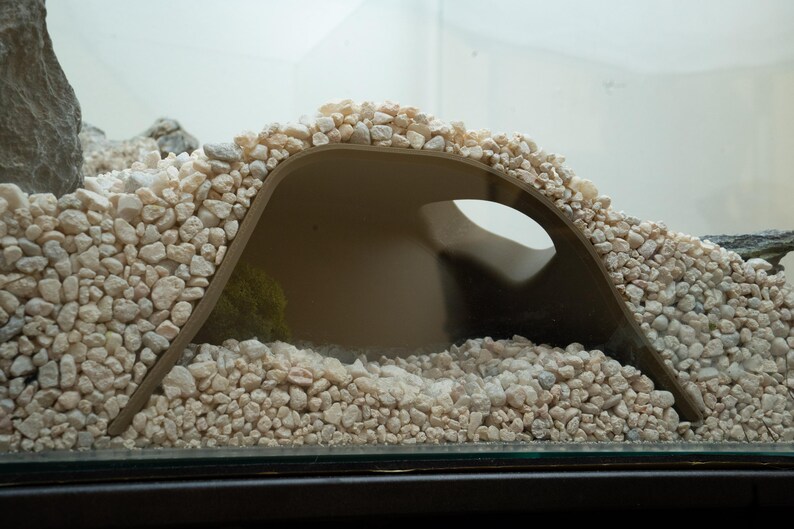 Pu&ograve; includere: Una struttura curva, cava e di colore beige, realizzata in un materiale duro, che ricorda una grotta, &egrave; parzialmente sepolta in un letto di ciottoli bianchi.