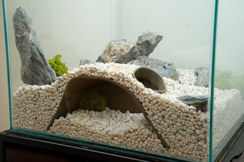 Pu&ograve; includere: Un terrario di vetro con ghiaia bianca, un nascondiglio in ceramica marrone e rocce grigie. Il terrario &egrave; pieno di muschio verde e piante.