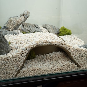 Pu&ograve; includere: Un terrario con ghiaia bianca, un arco marrone, rocce e un piccolo pezzo di muschio verde.