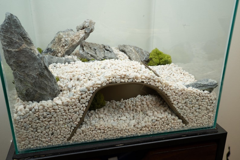 Pu&ograve; includere: Un terrario con ghiaia bianca, un arco marrone, rocce e un piccolo pezzo di muschio verde.