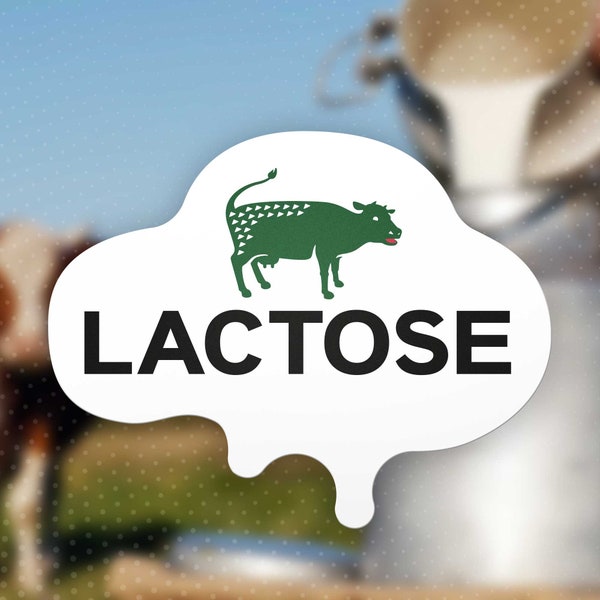 Lactose -  lustiger Sticker mit Kuh (Lacoste Logo Wortspiel)