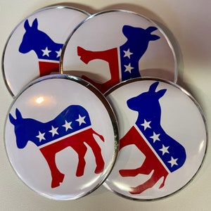 Democrat 2 Inch Campaign Button