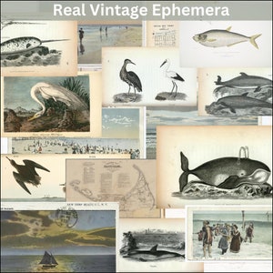 Océan vintage éphémères plage côtière Junk Journal embellissements nautiques bord de mer numérique imprimable PDF à télécharger