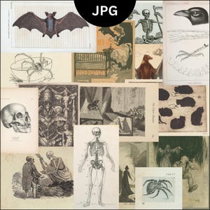 Enfeites de diário vintage de Halloween, itens góticos e assustadores, enfeites de academia escura, naturalistas, pedaços assustadores, impressão digital, download em JPG