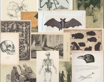 Vintage Halloween Ephemera Gothic Spooky Junk Journal Embellishments Dark Academia Naturalist Scary Scraps Digital Printable PDF Download