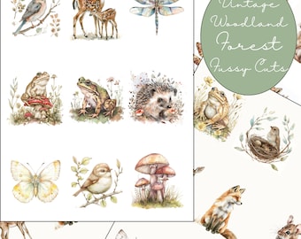 May include: Vintage Woodland Forest Fussy Cuts digital clipart set featuring watercolor illustrations of a bluebird, deer, dragonfly, frog, hedgehog, mushroom, butterfly, bird, fox, mouse, and more.