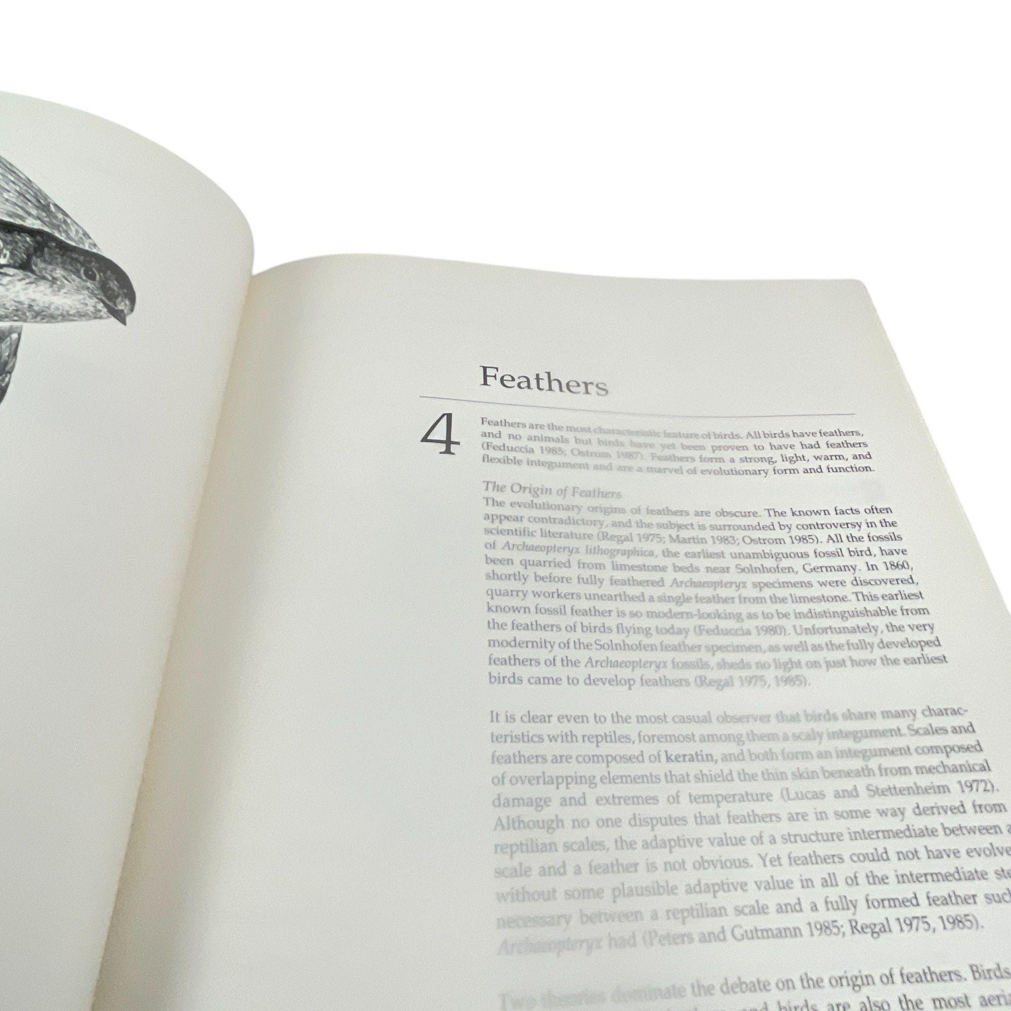 Manual of Ornithology: Avian Structure & Function Hardcover - Etsy