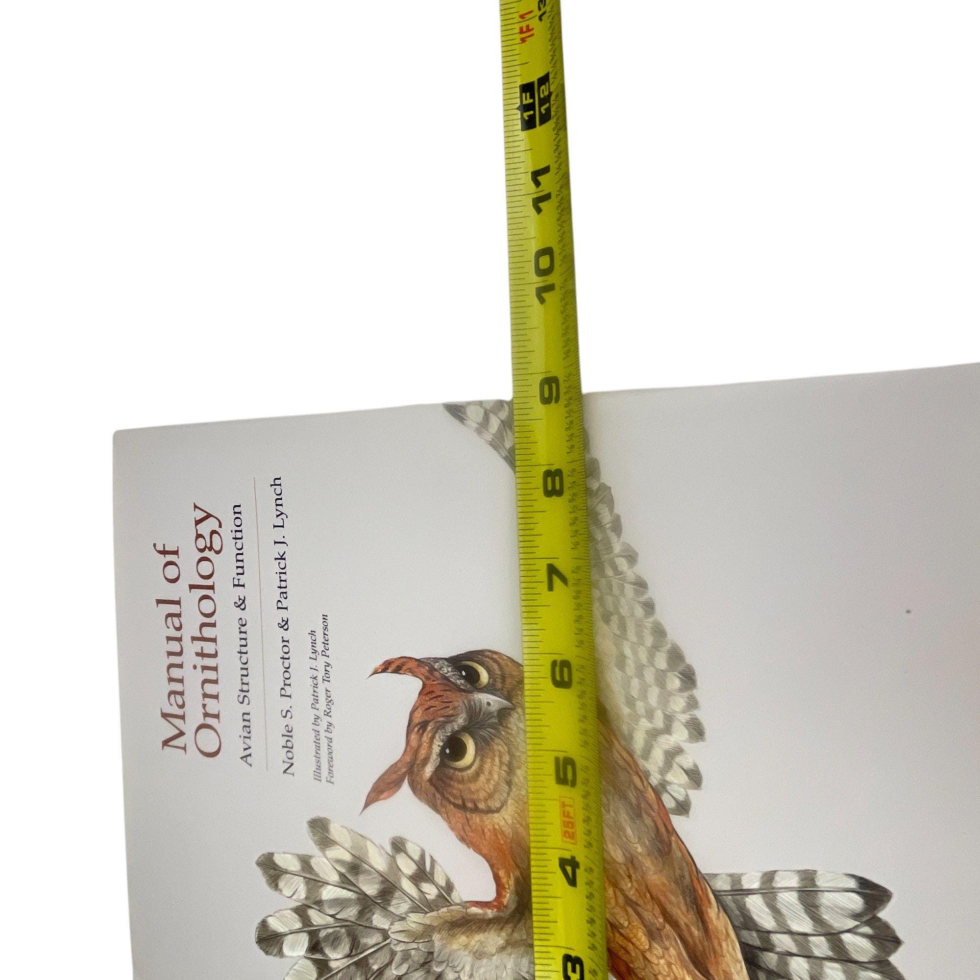 Manual of Ornithology: Avian Structure & Function Hardcover - Etsy