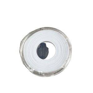 May include: A clear plastic round container with a white circular insert. The insert has concentric circles and a small hole in the center. A small, dark gray fossil is visible through the hole.