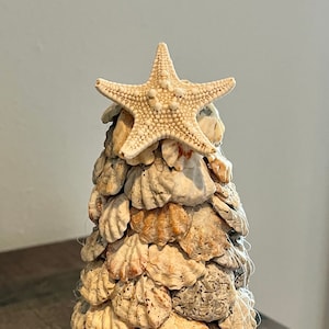 Seashell Tree