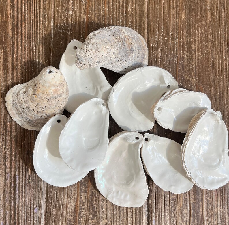 Oyster Shell Ornaments Ready for Crafting - Etsy