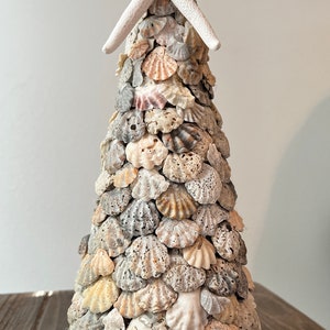 Seashell Tree - Kitten Paw Shells