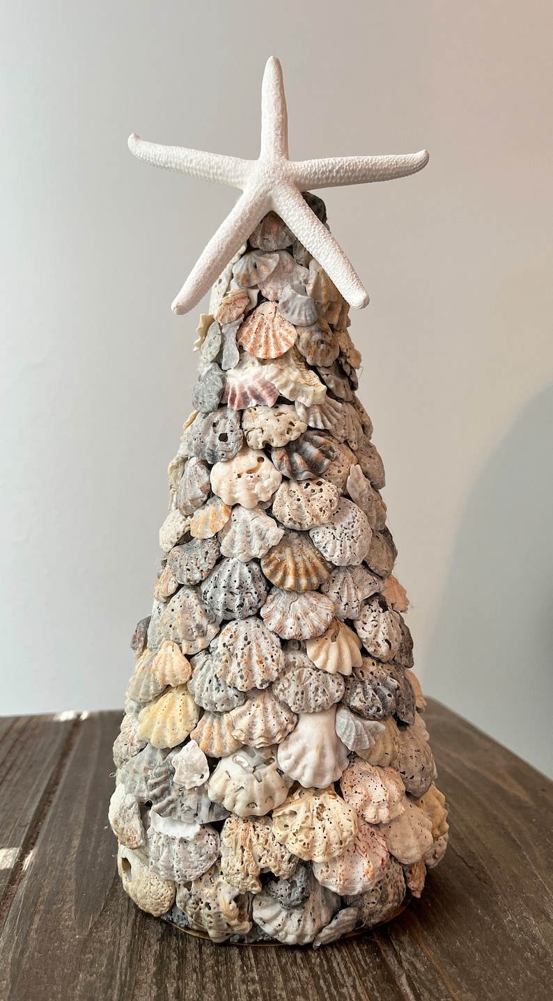 Seashell Tree Kitten Paw Shells - Etsy