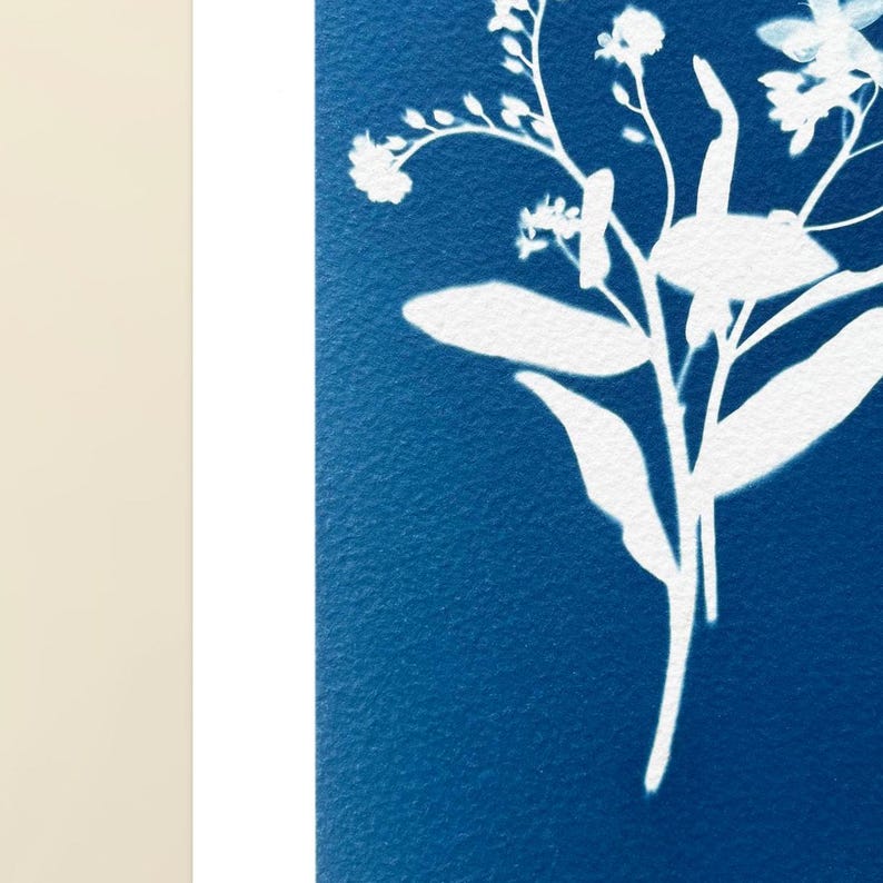 Cyanotype- Spring Ephemerals- Forget Me Not, Spring Beauty, Giclée ...