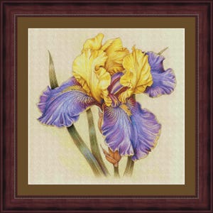 Flora Iris kruissteekpatronen - Iris van goud 2 - afdrukbare grafiek pdf-formaat handwerken borduren ambachten DIY DMC kleur