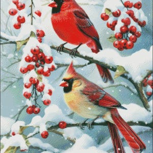 Winter Jewels Cardinals - getelde kruissteekpatronen - afdrukbare grafiek pdf-formaat handwerken borduren ambachten DIY DMC kleur