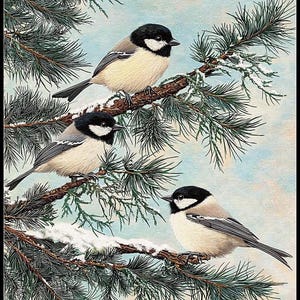 Chickadees in Pines - getelde kruissteekpatronen - afdrukbare tabel in pdf-formaat handwerken borduren ambachten DIY DMC kleur
