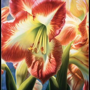 Amaryllis 3 - Getelde kruissteekpatronen - Afdrukbare grafiek PDF-formaat Handwerken Borduren Knutselen DIY DMC-kleur