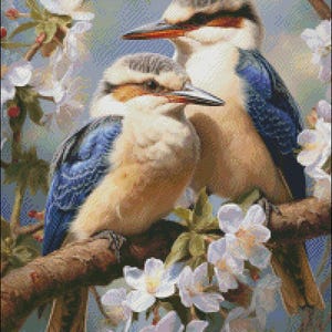 Een paar kookaburra's - getelde kruissteekpatronen - afdrukbare grafiek pdf-formaat handwerken borduren ambachten DIY DMC kleur