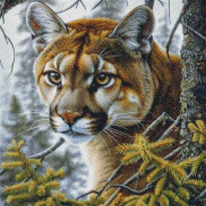 Eyes of the Wilderness 2 - getelde kruissteekpatronen - afdrukbare grafiek pdf-formaat handwerken borduren ambachten DIY DMC kleur