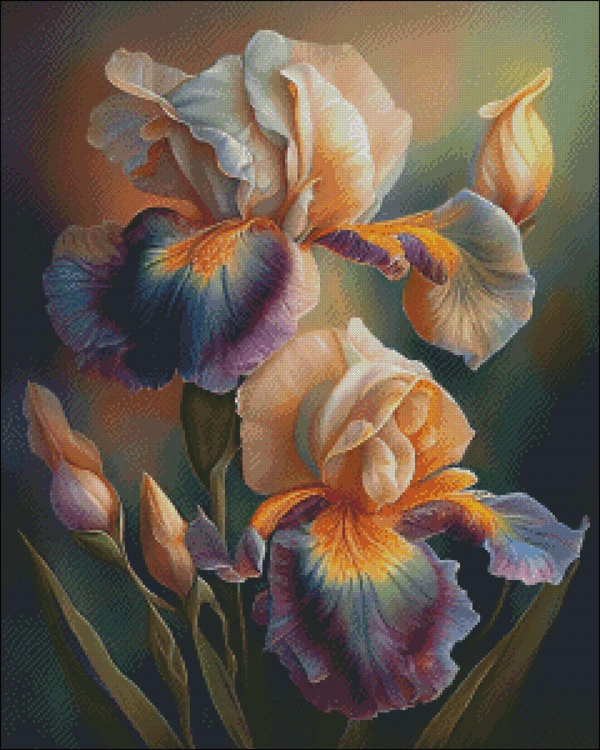 Bearded Irises Counted Cross Stitch Pattern: Floral Needlework (PDF) - Etsy