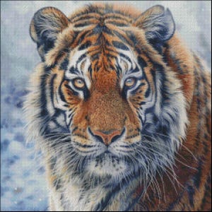 Siberische tijger 1 - getelde kruissteekpatronen - afdrukbare tabel in pdf-formaat handwerken borduren ambachten knutselen dmc kleur