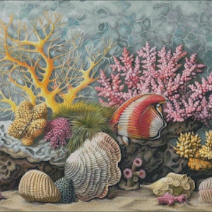 May include: A colorful underwater scene with coral, shells, and a red and white fish. The coral is pink and yellow, and the shells are white and brown. The fish is swimming in the water.