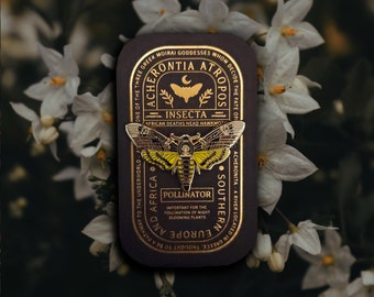 African Deaths Head Hawkmoth - Acherontia Atropos - Enamel Collector Pin