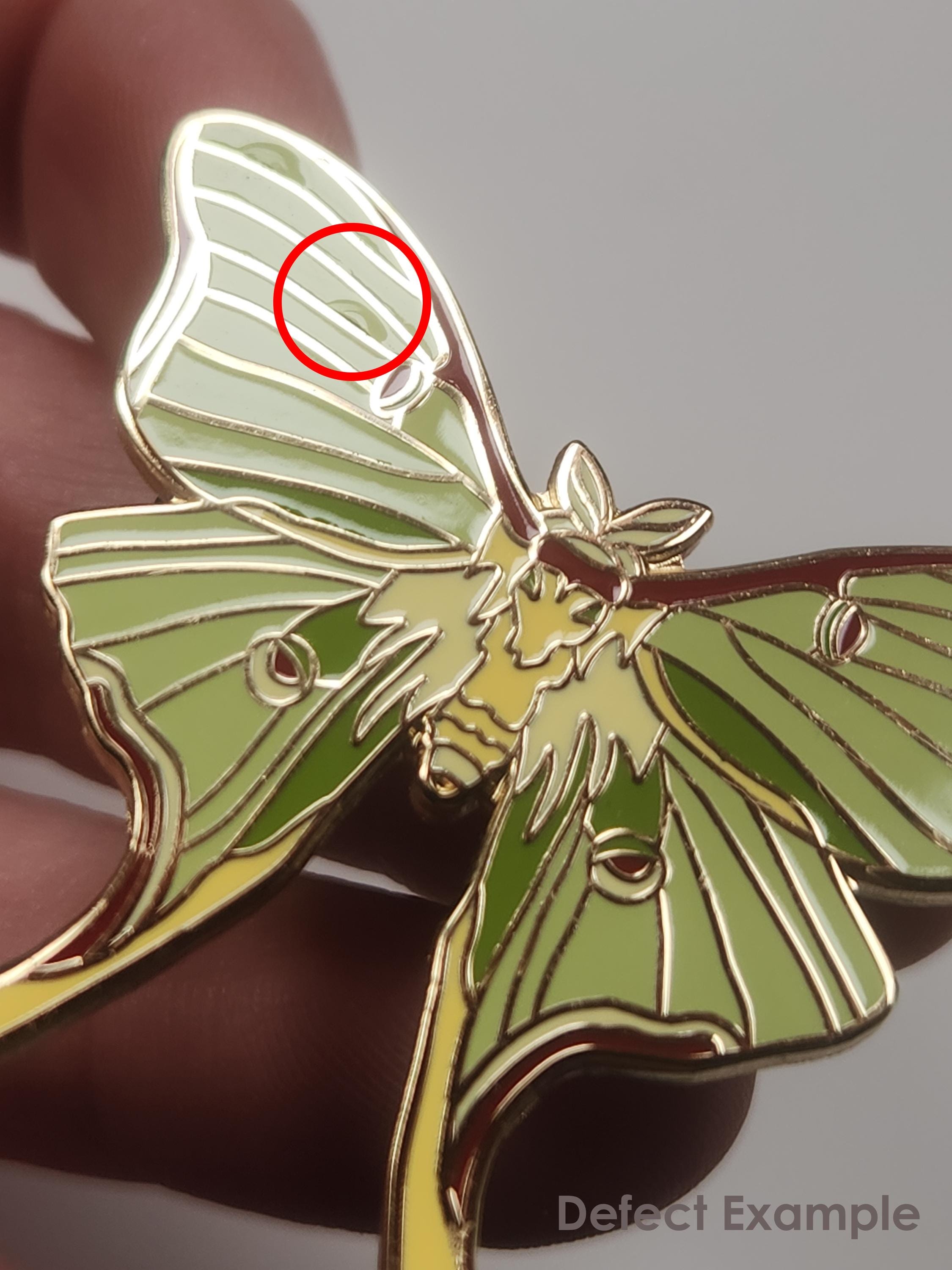 B級ピンズ 閉店セール - ピンのみ、バッカーカードなし - 教育用昆虫