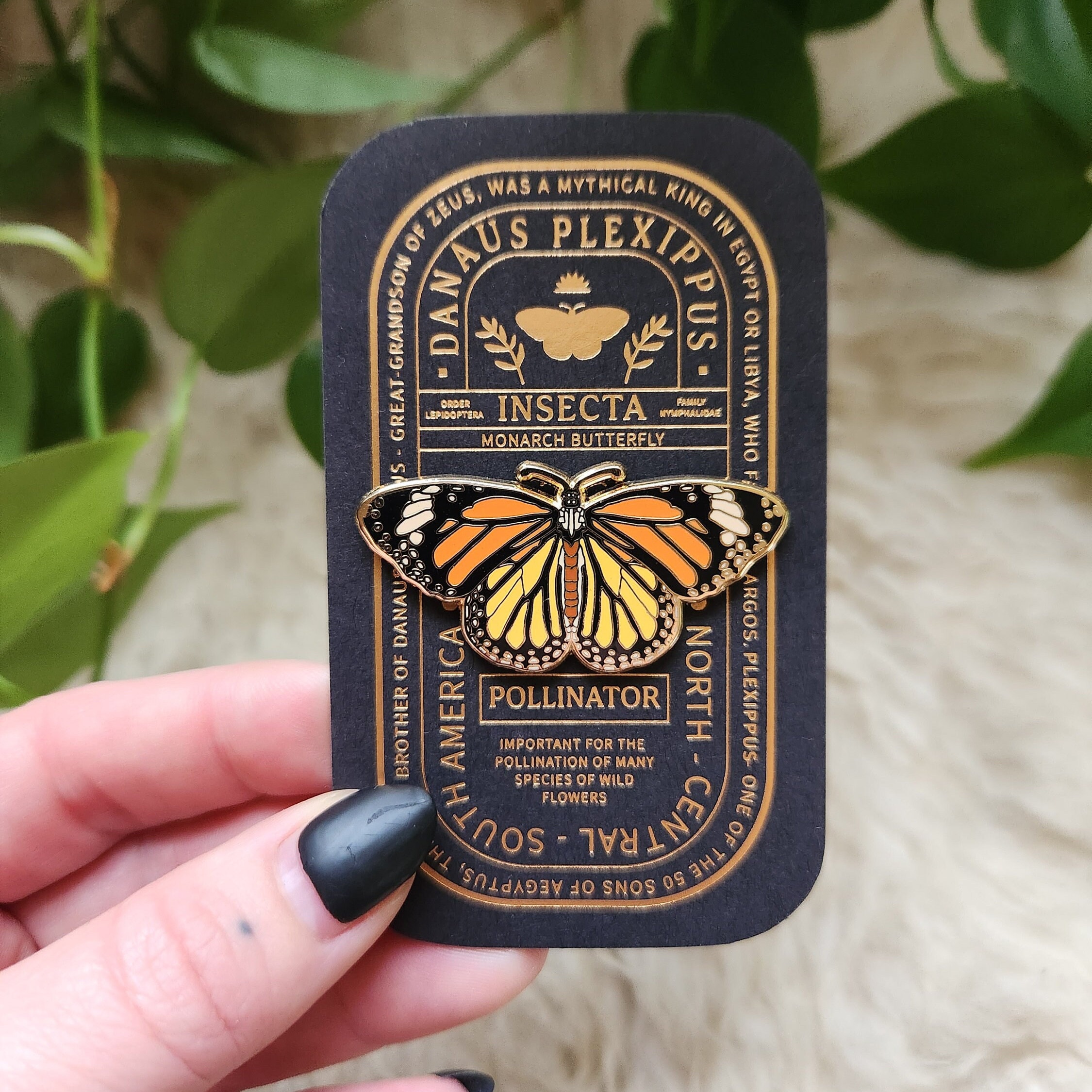 Monarch Butterfly Milkweed Seed Garden Kit, Pollinator Garden Kit 