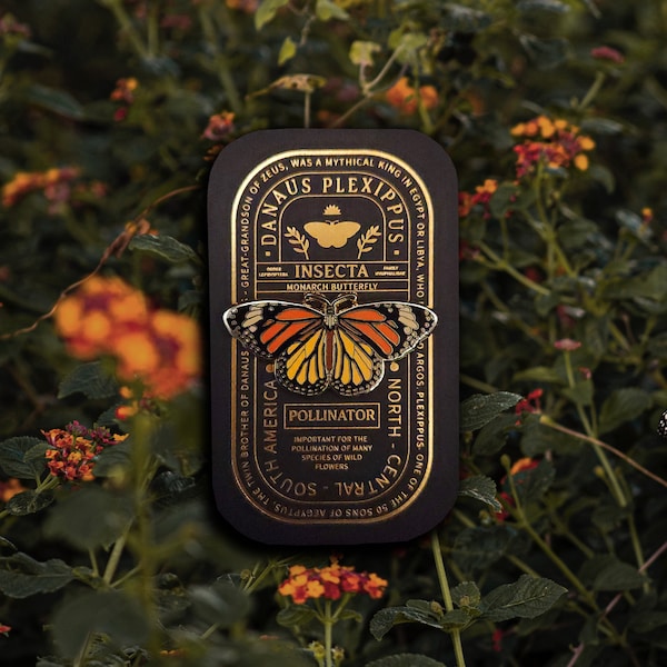 Pin de esmalte de colección de la mariposa monarca (Danaus plexippus)