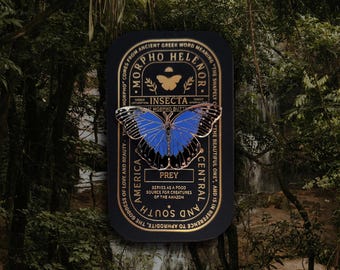 Blue Morpho Butterfly - Morpho Helenor - Enamel Collector Pin