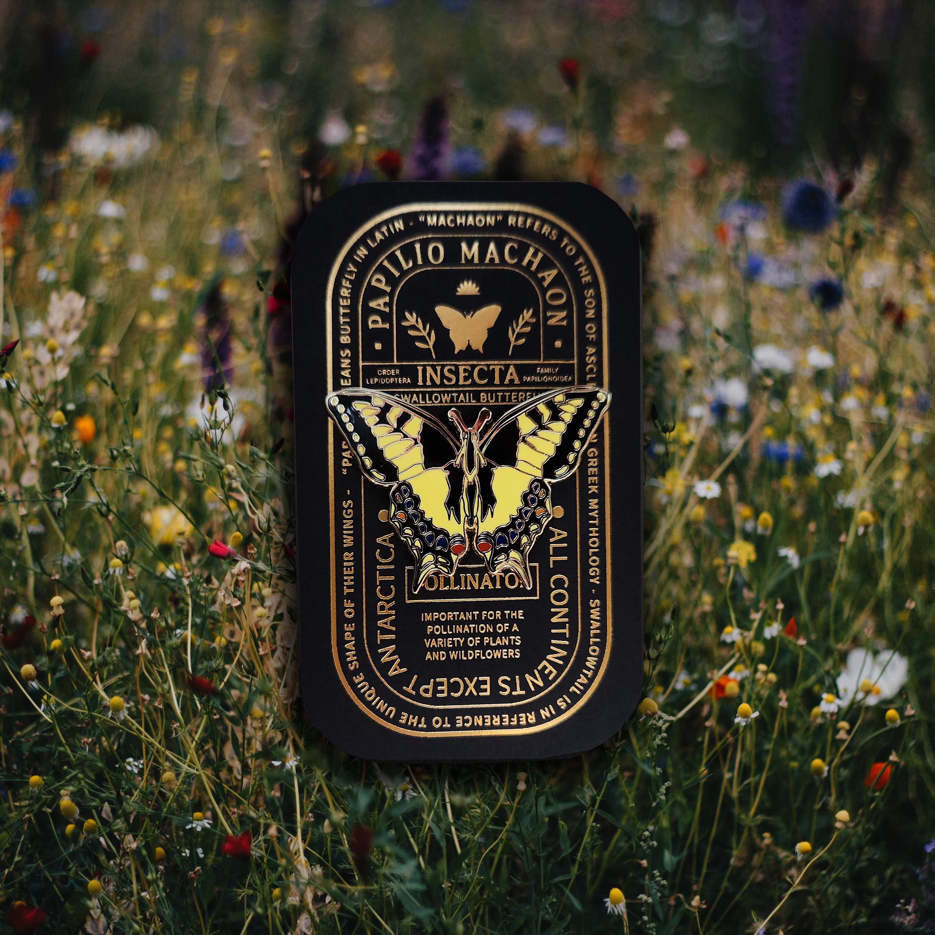 Swallowtail Butterfly - Papilio Machaon - Enamel Collector Pin