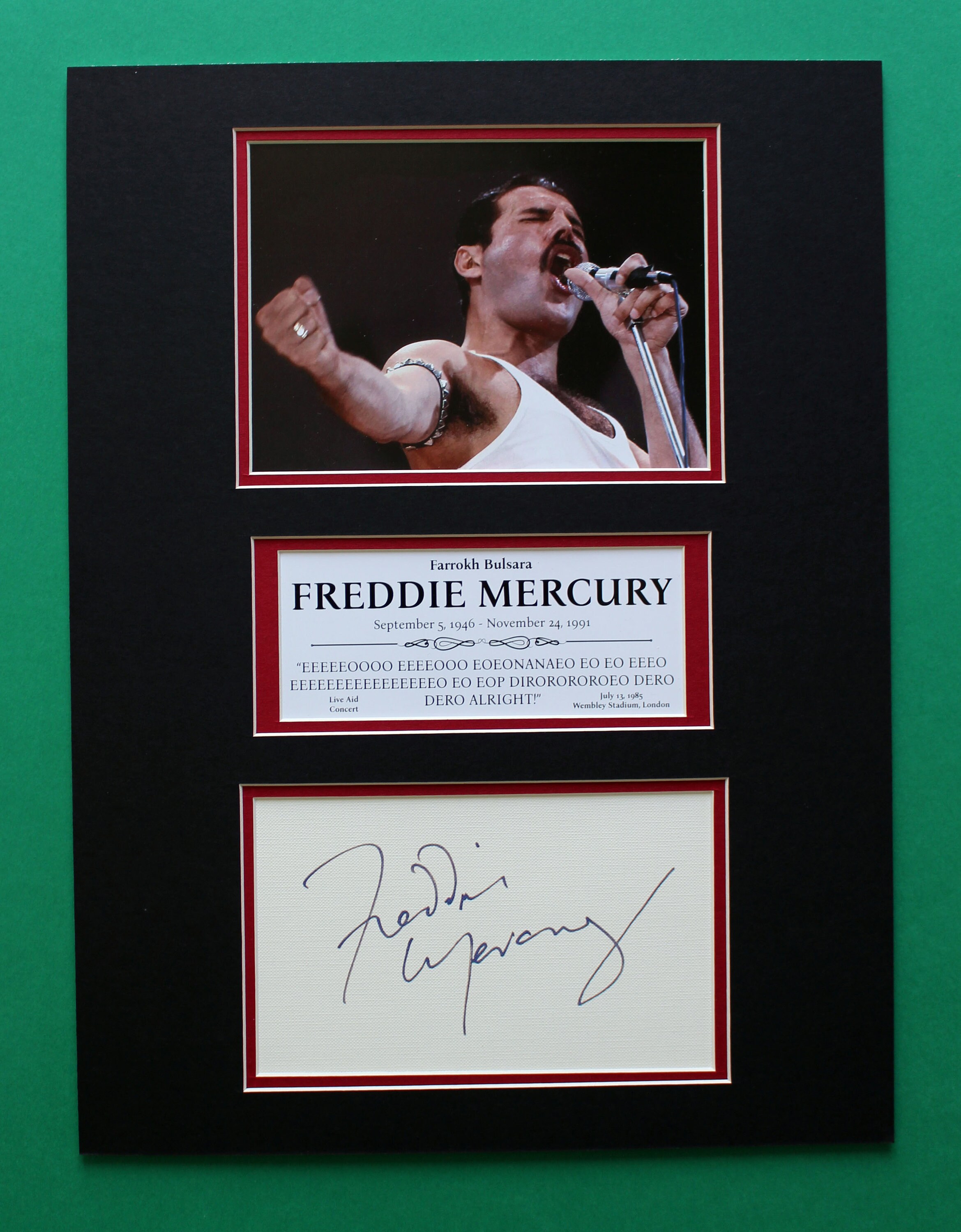 FREDDIE MERCURY AUTOGRAPH Artistic Double Mat Display Live