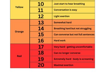 Borg Rating of Perceived Exertion