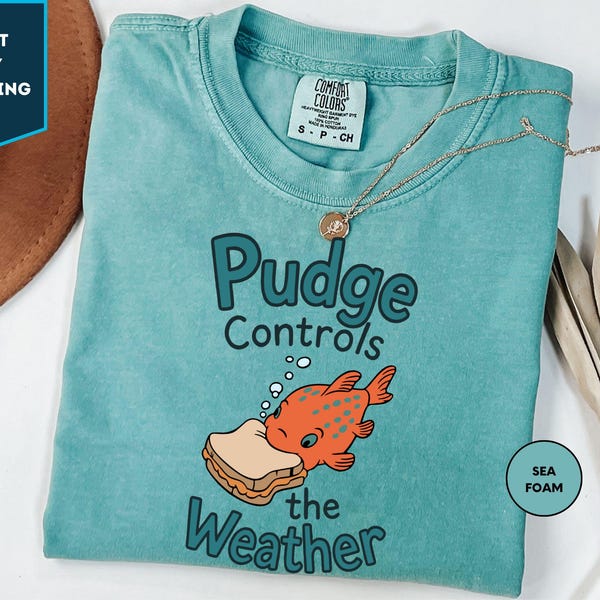 Comfort Color,Disney Lilo and Stitch Pudge Controls The Weather Shirt, Disney Fish Pudge T-shirt, Disneyland Family Matching ,Magic Kingdom