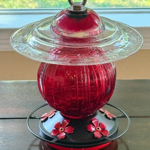 Glass Hummingbird Feeder - Red Dome