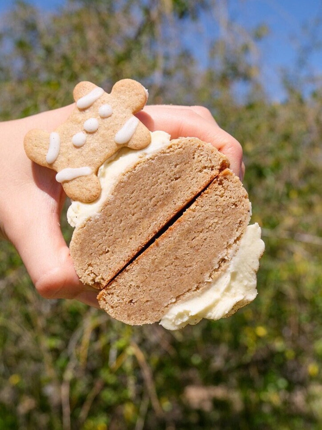 Gingerbread Man Molasses Cookies Recipe Christmas Cookies, Homemade